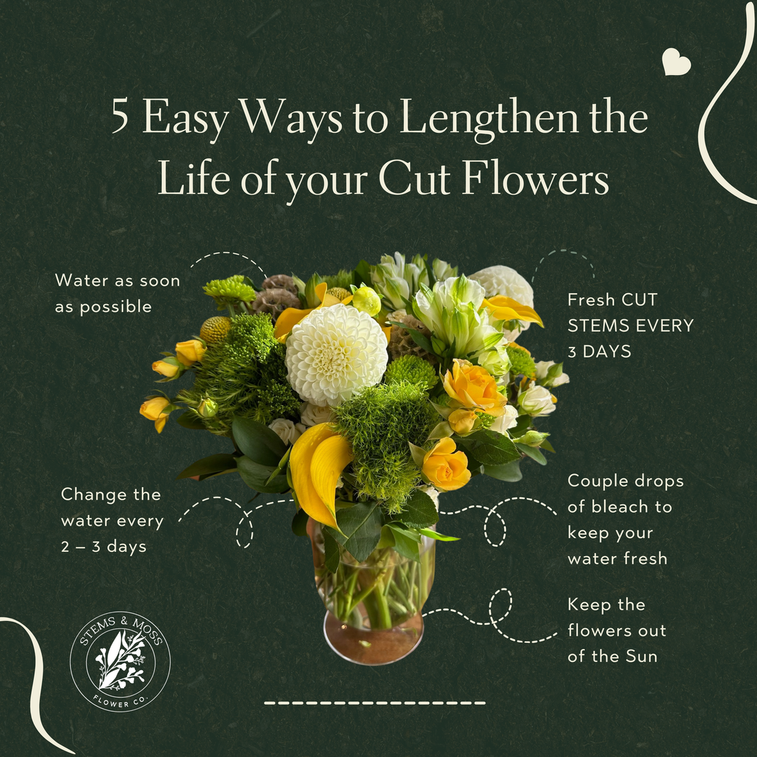 Ways to Lengthen the Life of your Cut Flowers