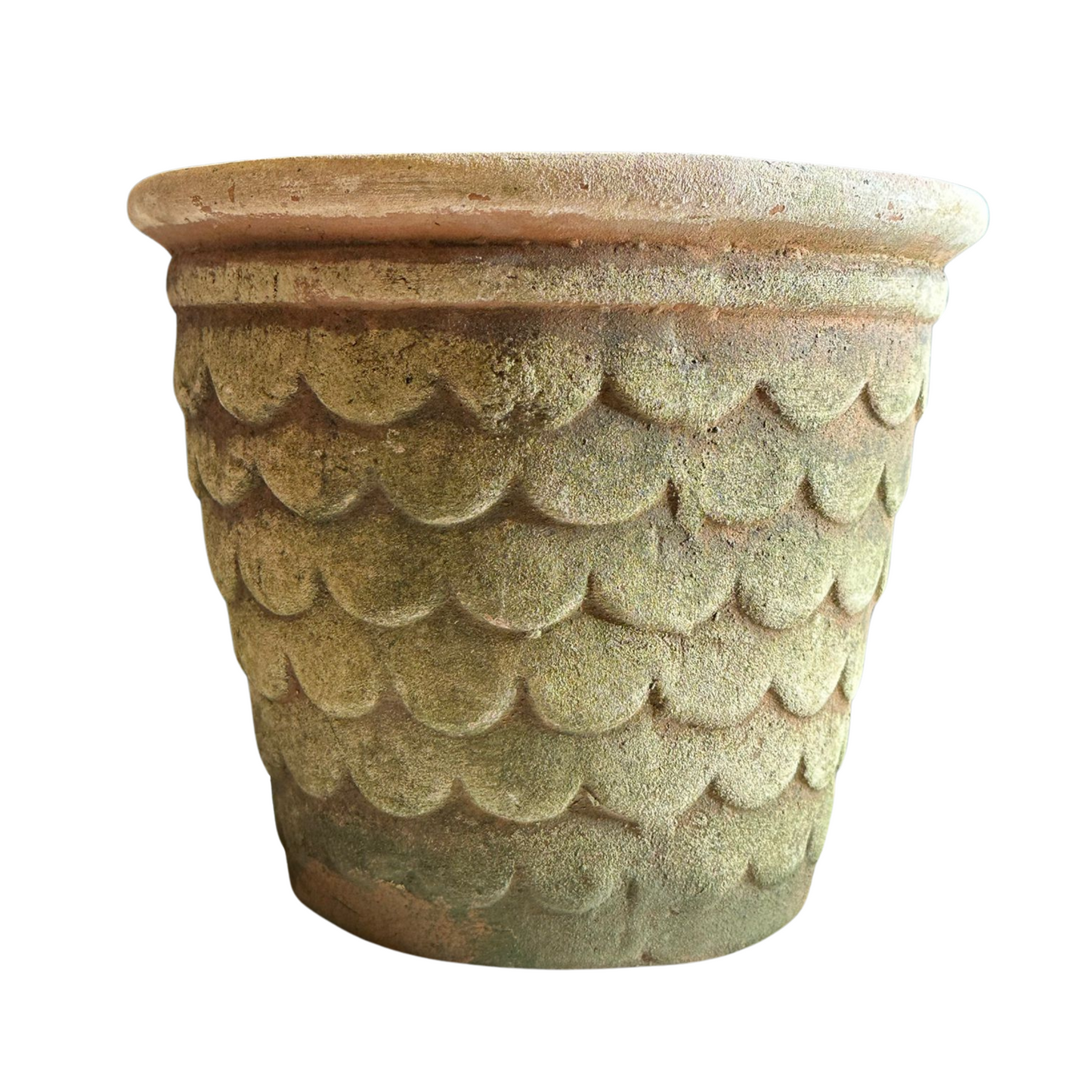 Dragon Scale Terracotta Planter