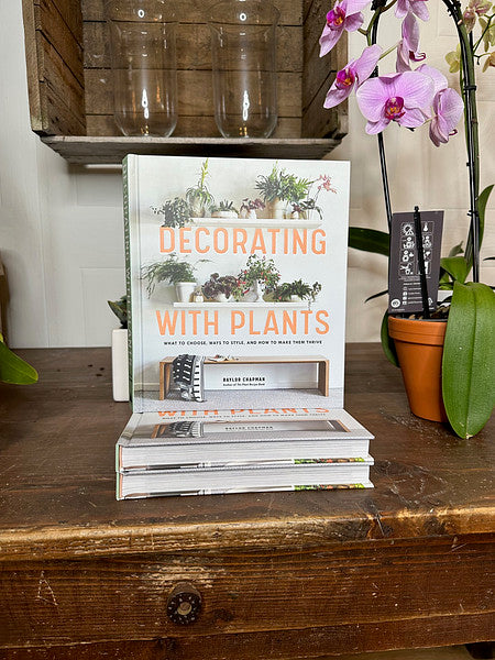 Decorating with Plants