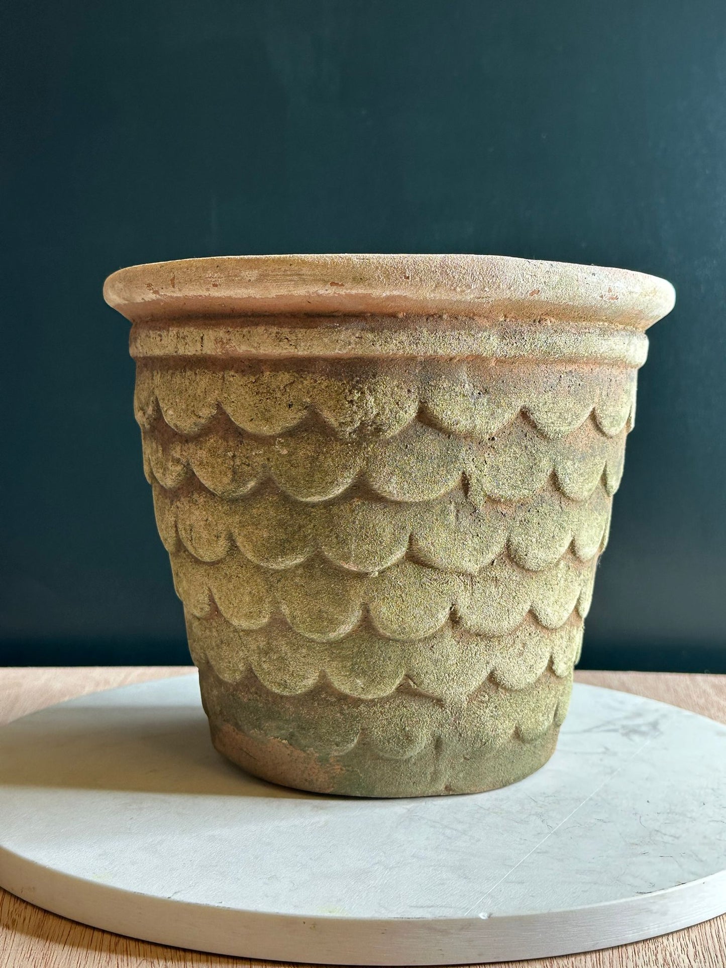 Dragon Scale Terracotta Planter