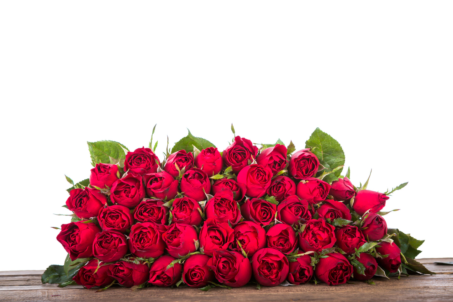 12 Fresh Roses